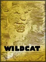 BYH Wildcat Cover - 1946